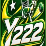Y222 Game
